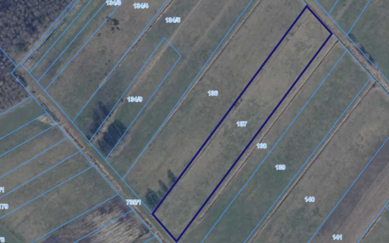 Grunty rolne 39,04 ha