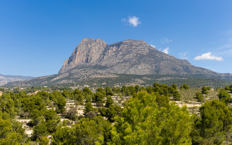 S. Hills - Benidorm